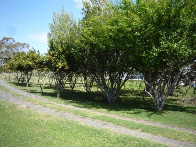 Awanui Blue Houseヴィラ エクステリア 写真